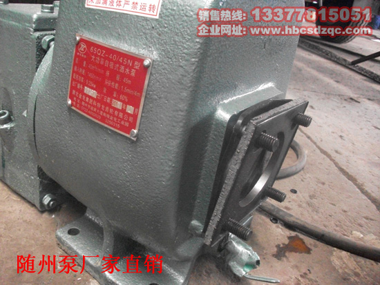 隨州灑水泵圖片