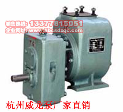 杭州威龍泵圖片