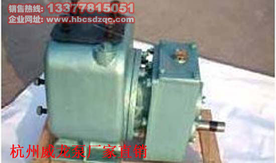 杭州威龍泵圖片