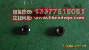 康明斯發(fā)動(dòng)機(jī)配件圖片