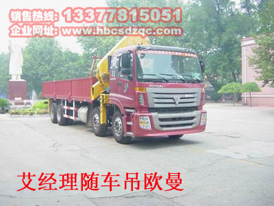 歐曼隨車(chē)吊圖片